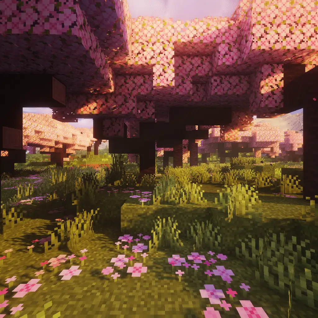 singleplayer